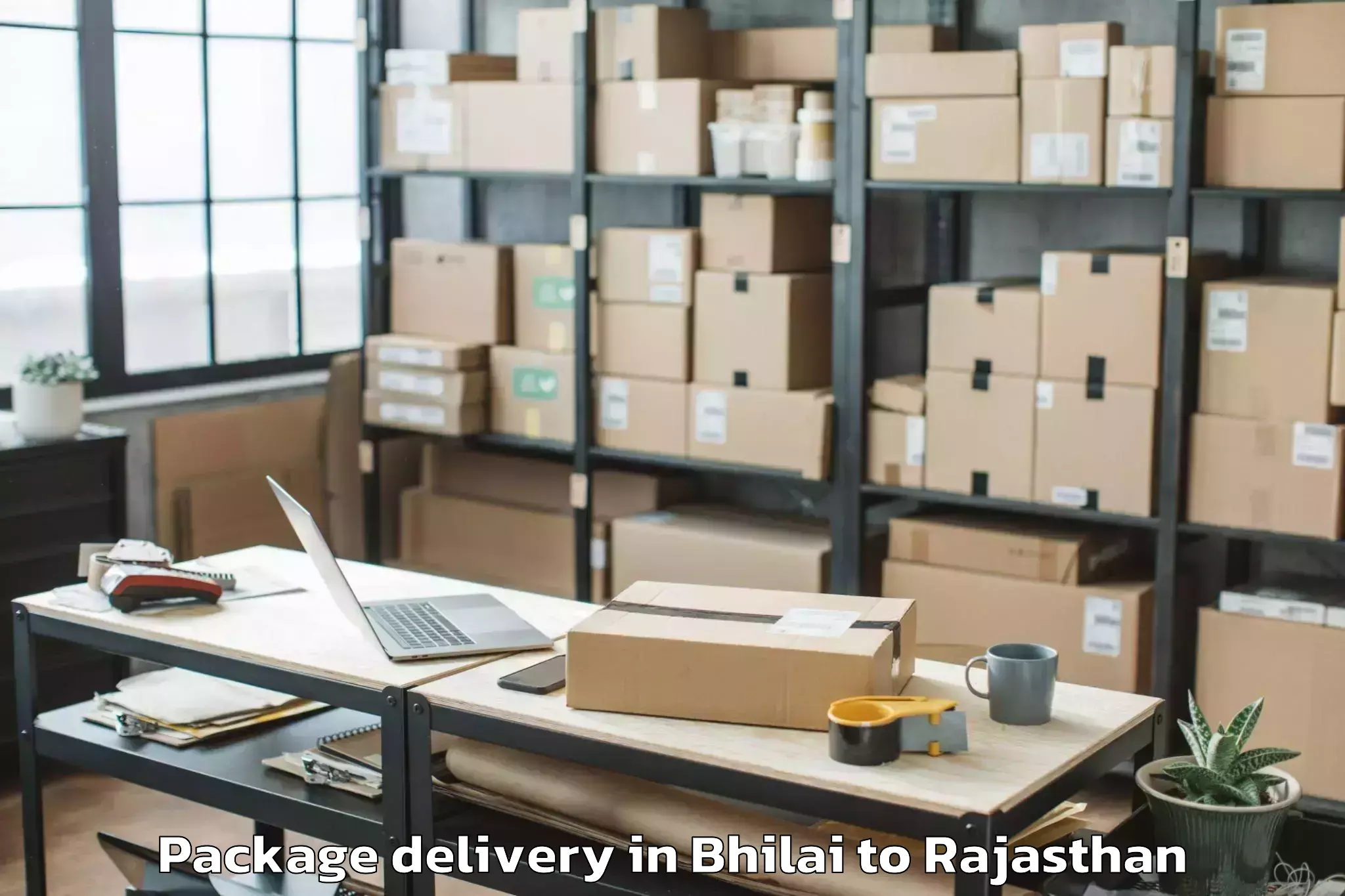 Trusted Bhilai to Jaipur National University Jai Package Delivery